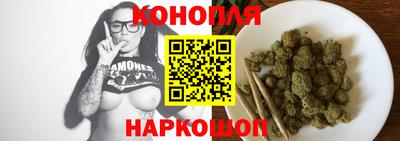 крисы Краснодар